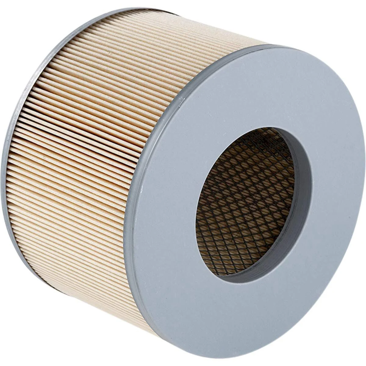 Ryco Air Filter - A1350 | Supercheap Auto